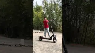 Electric scooter
