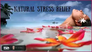 Best Herbs for Natural Stress Relief! - by Dr Sam Robbins