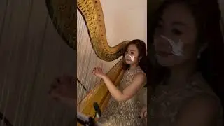 If - Harp & Violin Duet