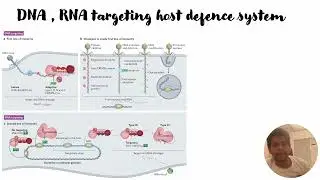 CRISPR, first (Target DNA) & second line (Target RNA) of defence against non self genome #Code: 404