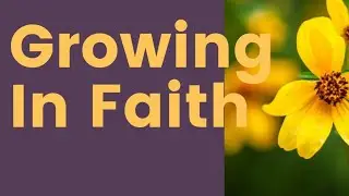 GrowingInFaith  #MiracleMindset #MindRenewal #thrivingfaithfull