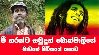 මිහරකාගෙන් වෙනු වු ජිවිතය මහ මගට