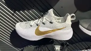 Nike LeBron TR 1 (Wolf Grey/ White/ Bronze/ Metallic Gold) - Style Code: FJ6151-006