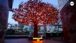 SUSHISAMBA Riyadh, delivered by PMKConsult