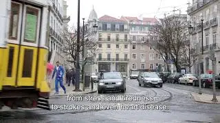 Environmental noise: Noise makes its mark in the long-term