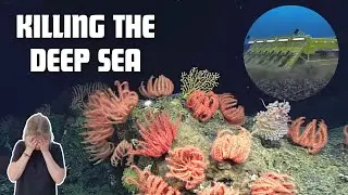 Japan And The Deep Sea: Mining The Last Frontier