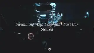 Swimming With Dolphins - Fast Car [[SLOWED | DAYCORE | ANTI-NIGHTCORE]]