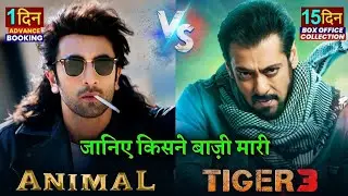 Tiger 3 Box office collection, Animal Advance Booking Collection, Salman Khan, Ranbir Kapoor, Bobby