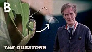 How Scientists Built a Rig to Measure an Insect's 21-Hour Flight | Blueprint