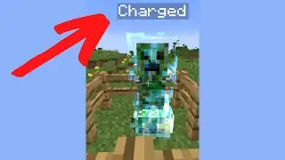 SECRET Minecraft name tag TRICKS!