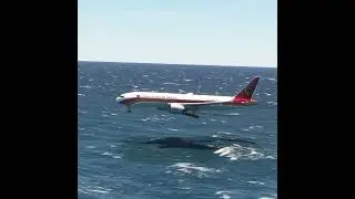 dangerous landing of planes over the sea Eps.474