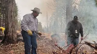Sequoia National Forest and the Tule River Tribe: Co-Stewardship in practice #Culturalburning