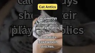 PurrfectGlimpses #CatFacts#PawsomeFacts#WhiskerWisdom#CatsOfKnowledge#MeowFacts#KittyTrivia