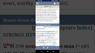 H376, H377 Man in Hebrew= is(eesh) Husbandman in Hebrew BLB interlinear definition