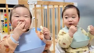 🥜初めてのピーナッツバターを食べる双子