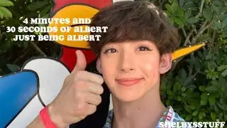 4 minutes and 30 seconds of Albert just being Albert (flamingo)