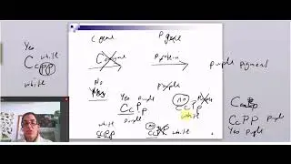 Gene Interactions