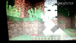 Minecraft survival (s&eacute;rie nova)