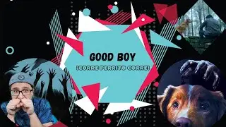 Good Boy: INDY (el perrito) va al ÓSCAR...¡NO es BROMA!