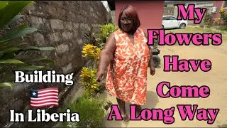 Moving To Liberia West Africa 🇱🇷 2025 | Update On Flowers In My Yard | Expat/ Repatriate To Africa