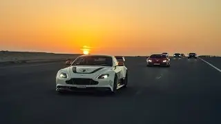 DELMUNEA - Sir Bani Yas Island