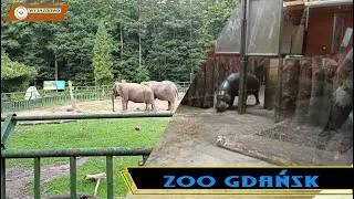 ZOO GDAŃSK