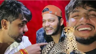 Ye tha cheete ( चित्ती )🐆 ka raaj guy's 👀👀  2nd part of cheete 🐆