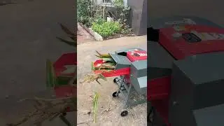 Back pain from cutting grass?Try this petrol chaff cutter #chaffcutter #farmer #machinery #dawnagro