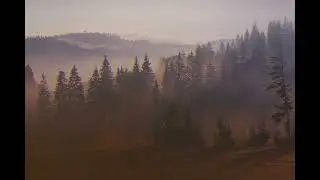 Чорнобривці | (doomer version)