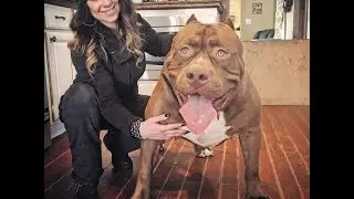 OMG he's bigger then my couch