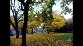 Bunte Bl&auml;tter im S&uuml;dpark