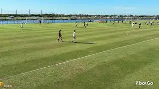 Milan v Sarasota 3