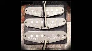 David Allen Texas Flood Pickup set
