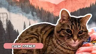 Создание спокойного уголка для чувствительной кошки