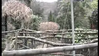 Shaugh Prior & Shaugh Bridge, a video tour