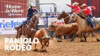 Makawao Stampede Rodeo | Home is Here | PBS HAWAIʻI