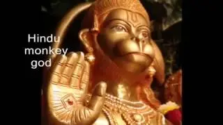 Human Evolution  Did We Come From Monkeys MultiScienceChannel