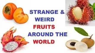 Top 15 Strange, Bizzare & Weird Fruits around the world | Exotic Fruits Documentary