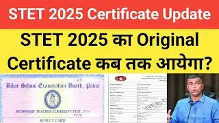 STET 2025 Original Certificate Kab Tak Aayega? | Latest Certificate Update