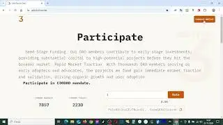VOTA CAPITAL3.0: COME DISABILITARE IL WALLET E VOTARE