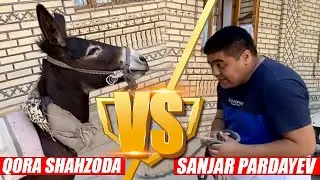 BUGUN MANI GALIM 41-SON | Sanjar Pardayev vs Qora Shahzoda