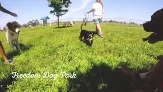 Freedom Dog Park