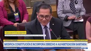 Comisión de Salud - 13 de Enero 2026