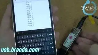 USB Thermometer (TEMPer1F)