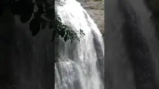 Ashoka Waterfall Igatpuri #waterfall #igatpuri #shorts