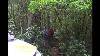 Knysna Forest 4x4 Route - Drone Footage