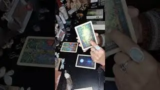 Gaia Oracle deck, by Toni Carmine Salerno. 