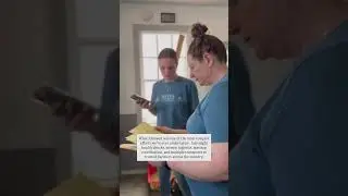 Behind the Scenes: A Cat Rescue Like No Other