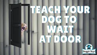 Teach Your Dog To Wait At Door