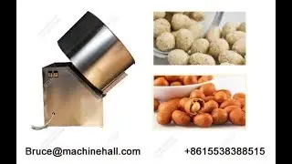 Coating Machine of Processing Peanut